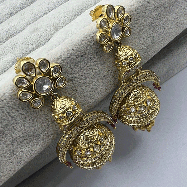 Premium collection long earrings (515601)