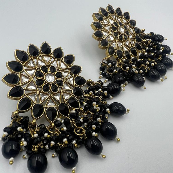 Premium collection earrings (524710)