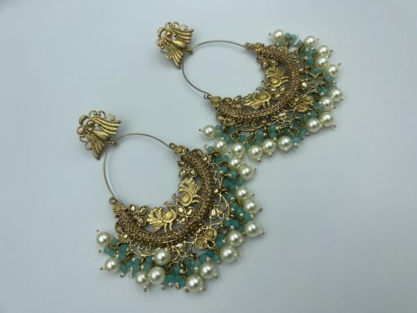 Premium collection earrings (548269)