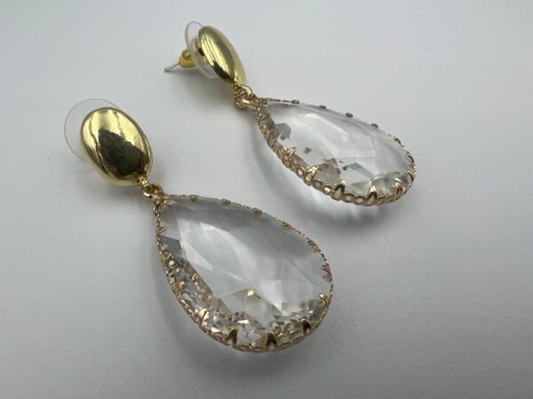 Premium collection earrings (549975)