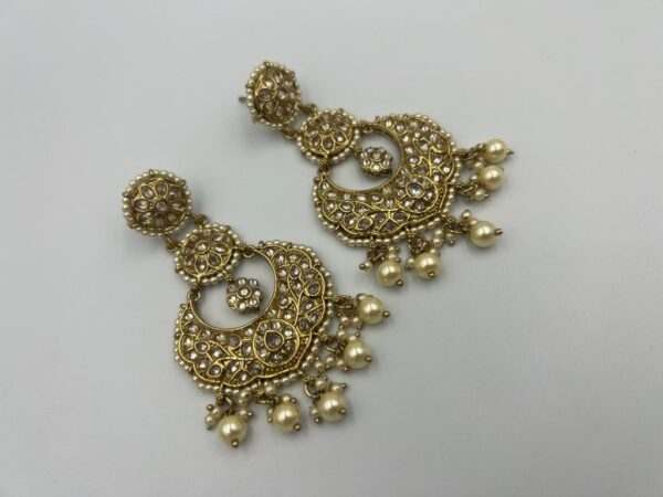 Premium collection earrings (550748)