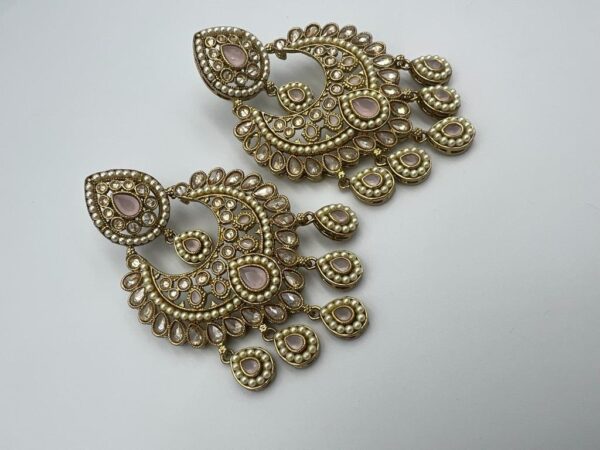 Premium collection earrings (550763)