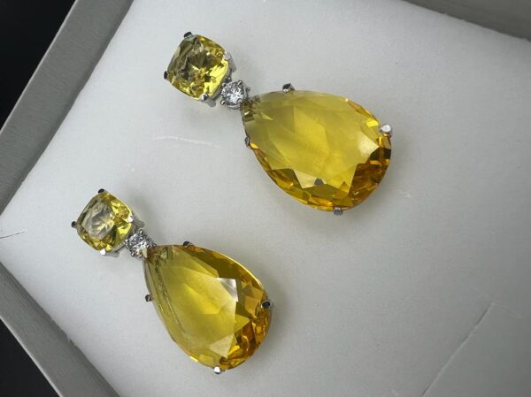 Premium collection earrings (552089)