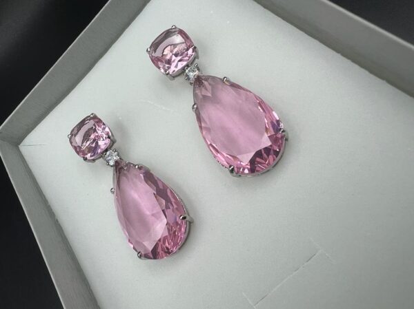 Premium collection earrings (552144)